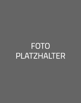 Peter Treffler Holzbau GmbH